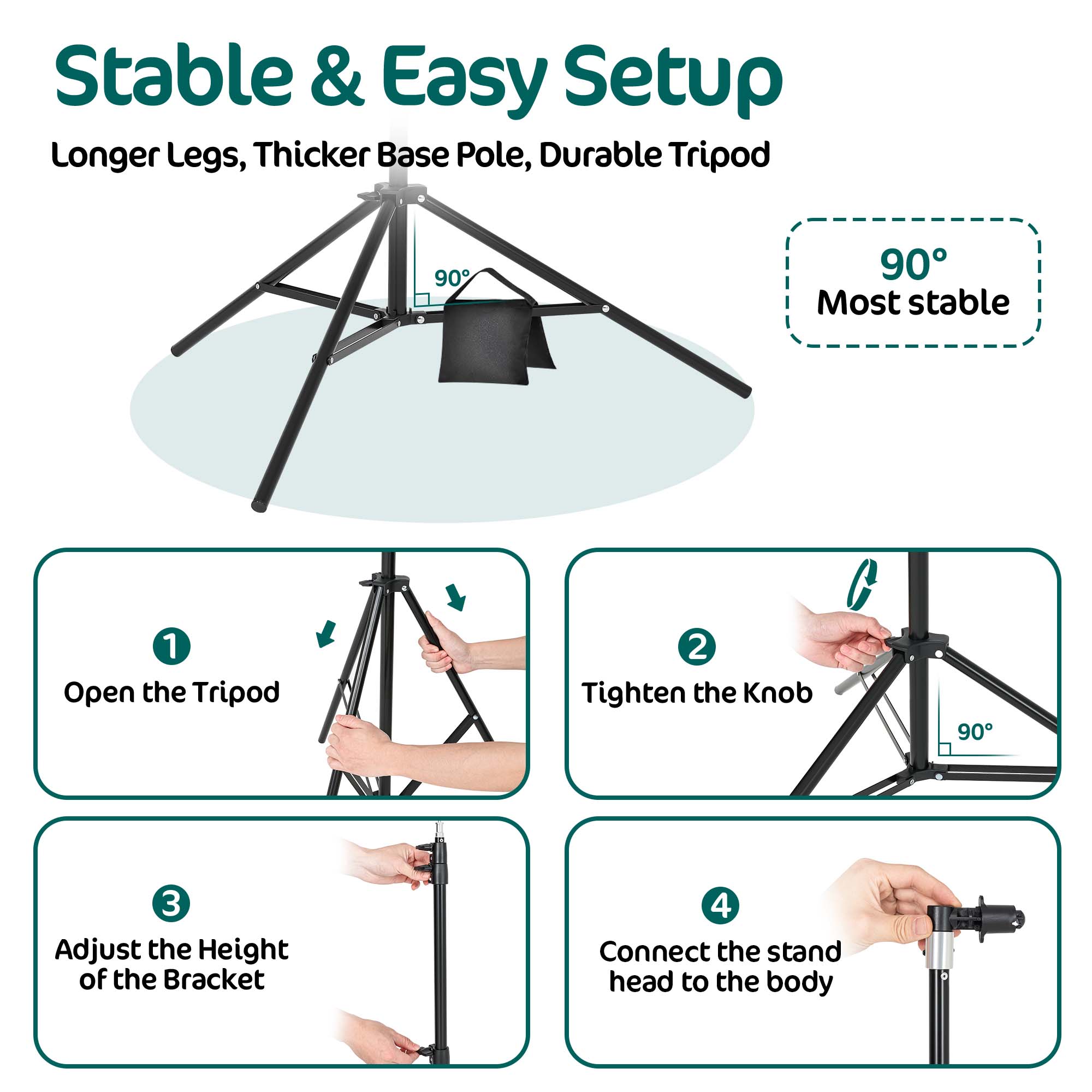 Kate Equipment Pop-Up Background Stand Clip Stand Kit for Photo Studios