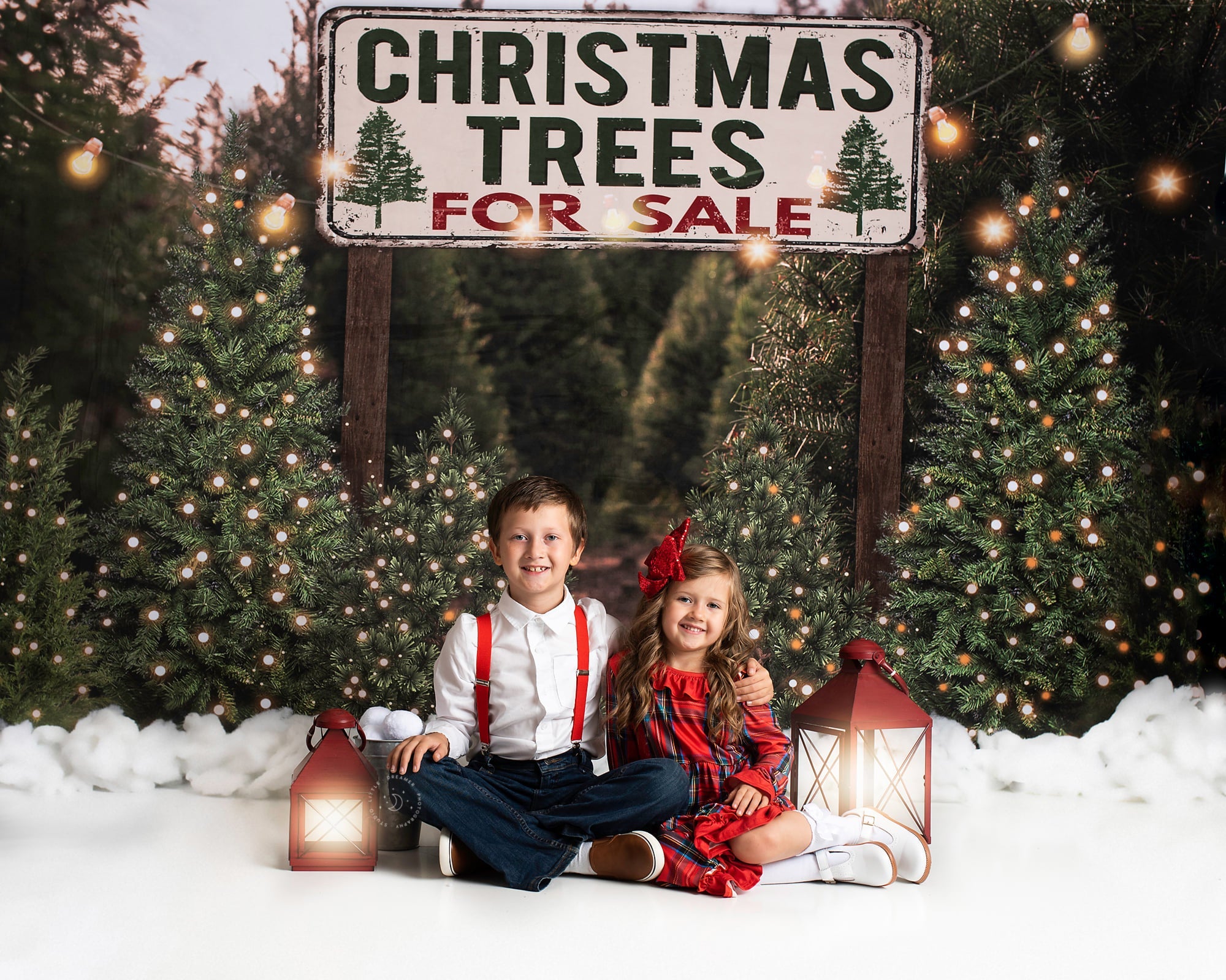 Lightning Deals Kate Christmas Trees Backdrop for Photography Designed By JS Photography -UK