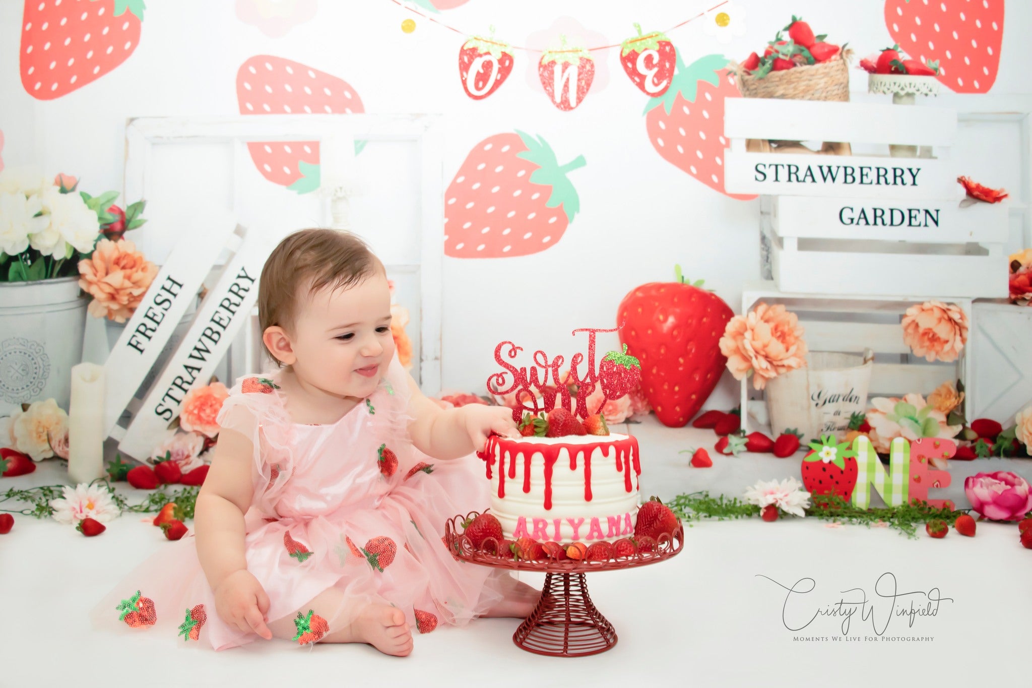 Kate Summer Strawberry Pink Backdrop Designed by Emetselch -UK