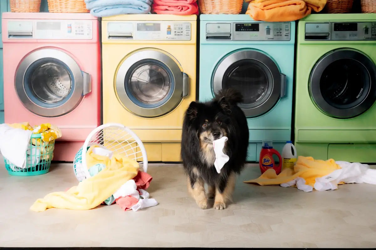 Kate Laundry Day Colorful Washing Machine Spring Fleece Backdrop Designed by Chain Photography -UK