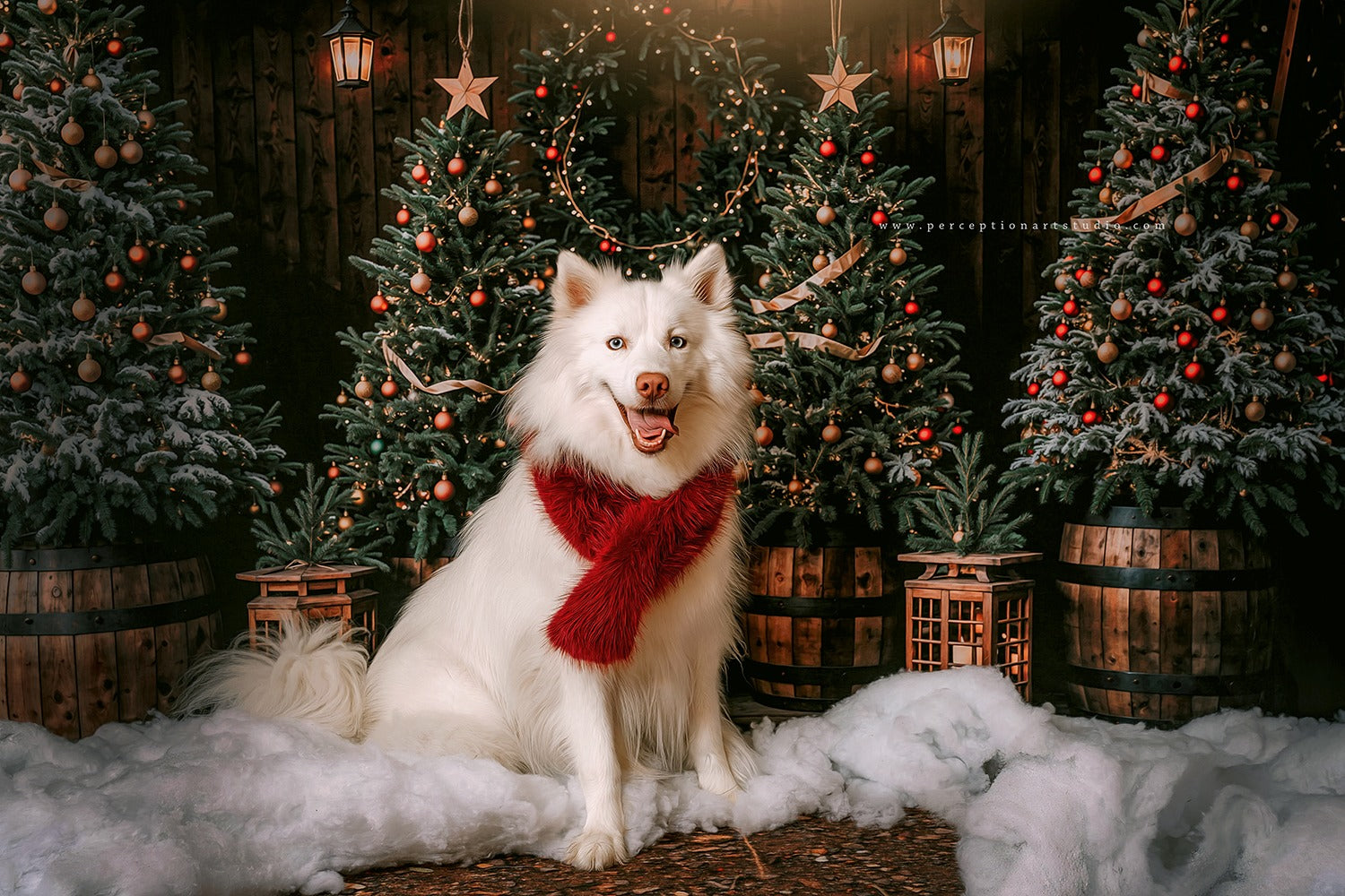 Kate Winter Dark Green Christmas Tree Forest Backdrop Designed by Emetselch -UK