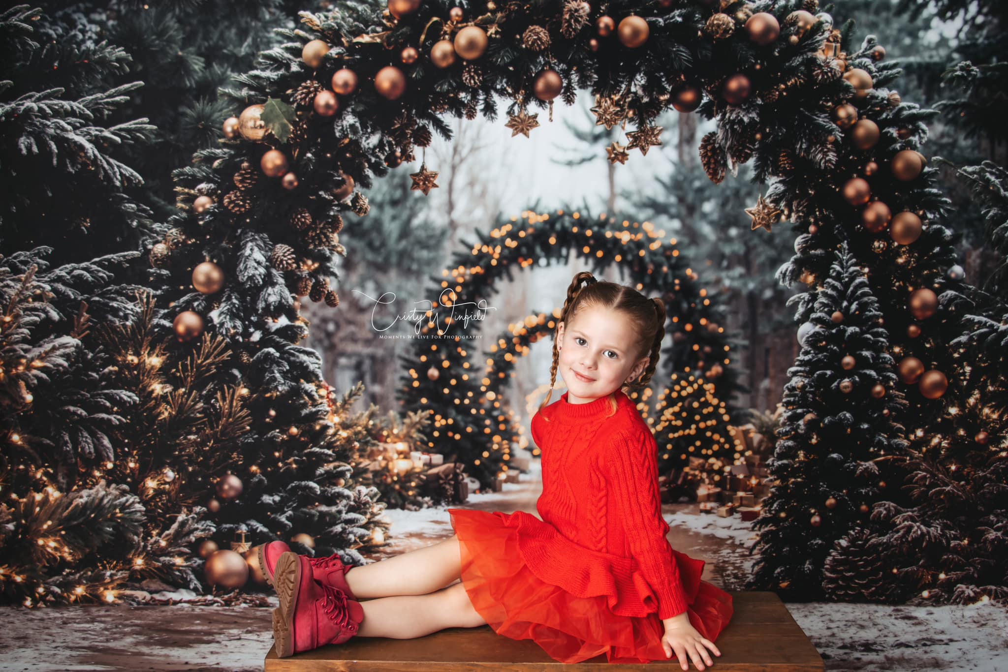 Kate Christmas Tree Archway Forest Backdrop Designed by Emetselch