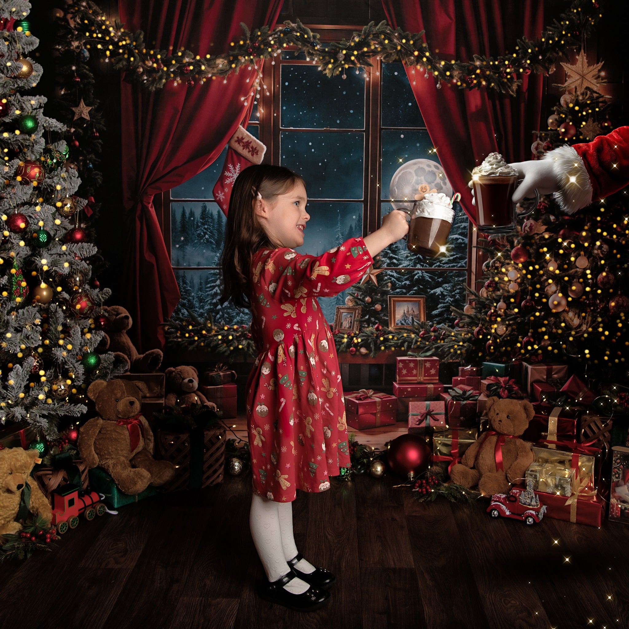 Kate Christmas Teddy Bear Red Curtain Window Backdrop Designed by Emetselch -UK