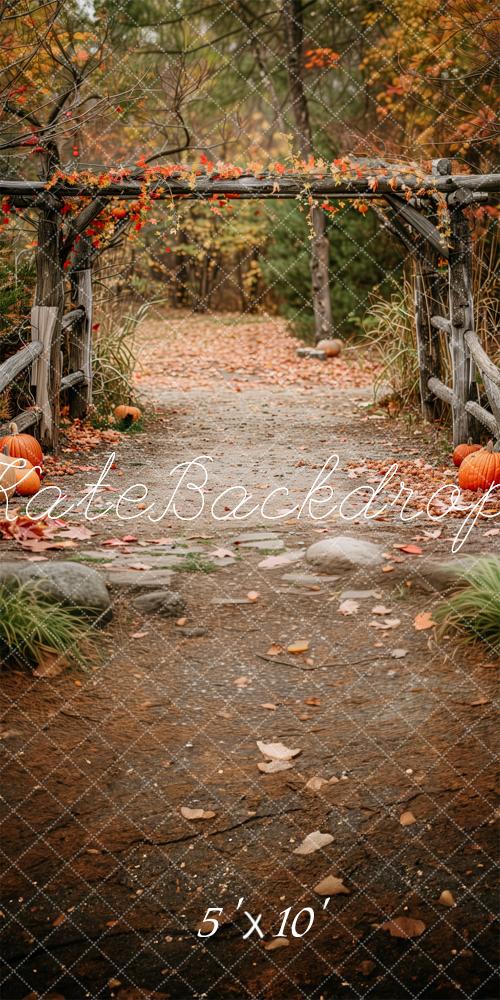 Kate Sweep Autumn Path In The Woods Backdrop Designed by Patty Robert -UK