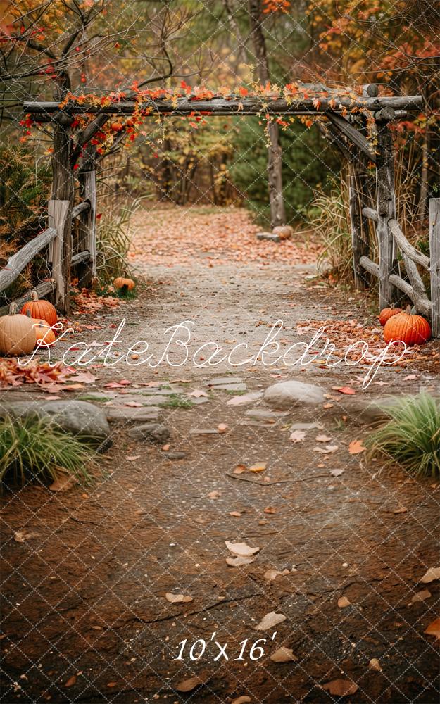 Kate Sweep Autumn Path In The Woods Backdrop Designed by Patty Robert -UK