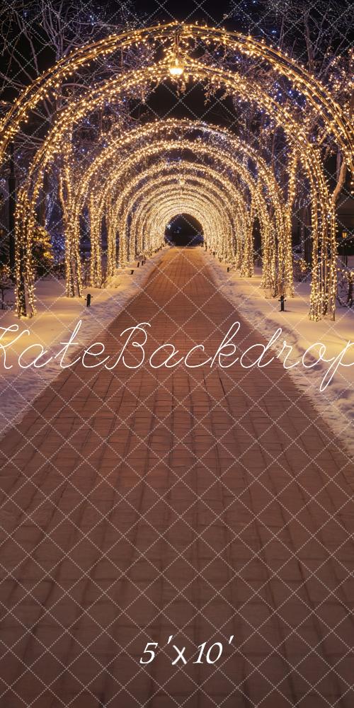 Kate Sweep Christmas Sparkly Lights Arch Tunnel Backdrop Designed by Lidia Redekopp -UK