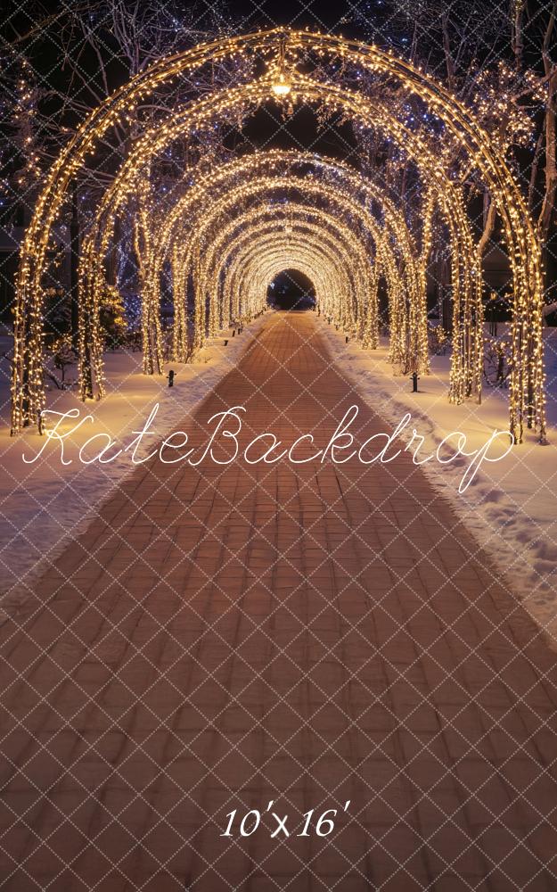 Kate Sweep Christmas Sparkly Lights Arch Tunnel Backdrop Designed by Lidia Redekopp -UK