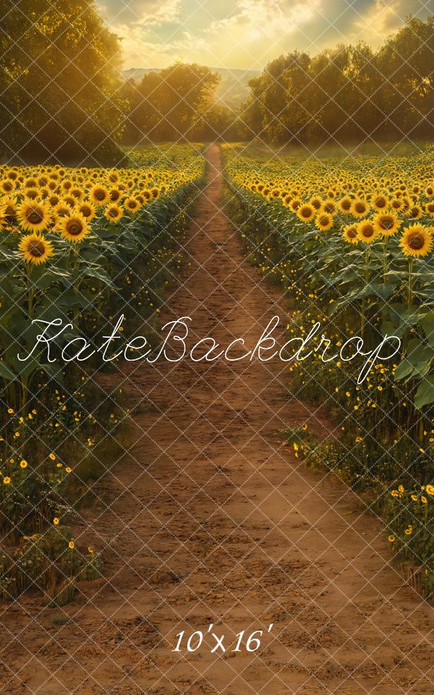 Kate Sweep Summer Sunflower Field Path Backdrop Designed by Emetselch