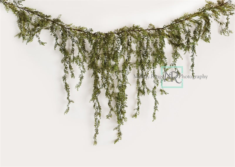 Kate Spring Vine White Wall Backdrop Designed by Mandy Ringe Photography -UK