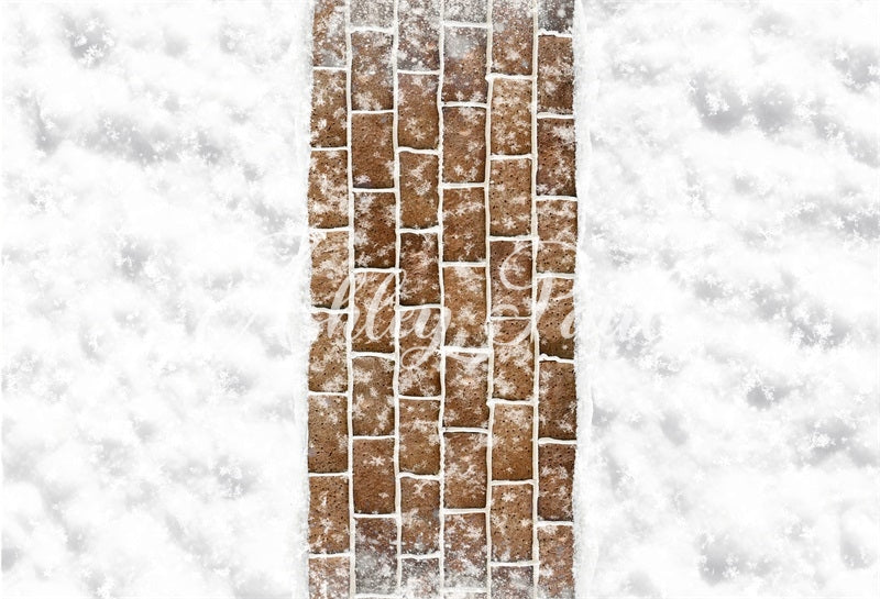 Kate Winter Snow Brown Brick Path Floor Backdrop Designed by Ashley Paul -UK