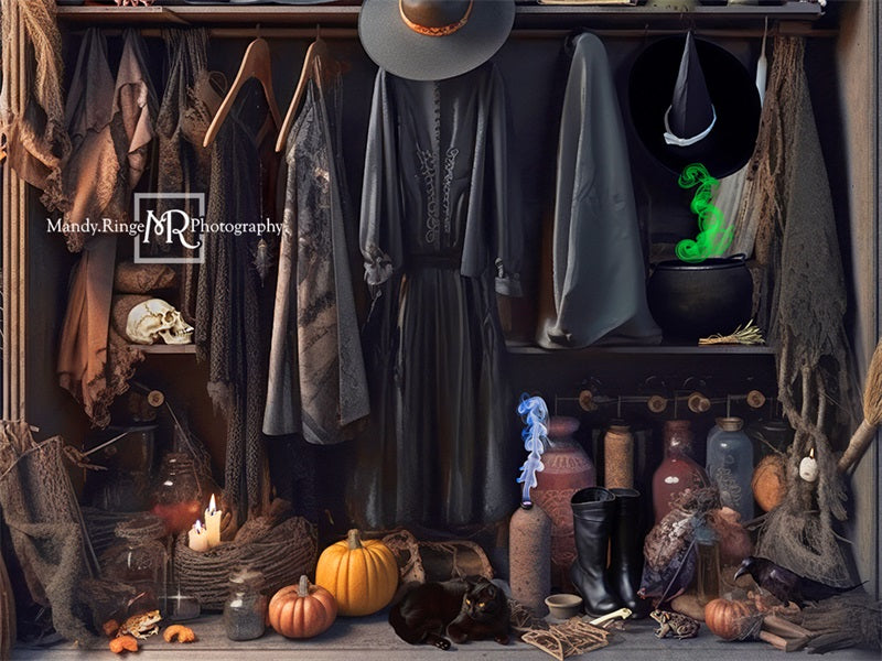 Kate Halloween Witch's Closet Backdrop Designed by Mandy Ringe Photography -UK