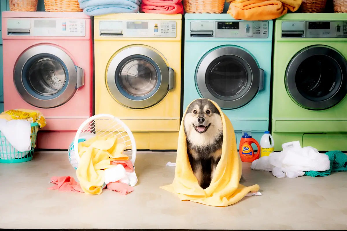 Kate Laundry Day Colorful Washing Machine Spring Fleece Backdrop Designed by Chain Photography -UK