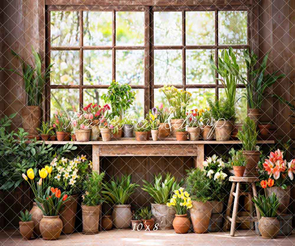 Kate Spring Green Plant Window Room Backdrop Designed by Chain Photography -UK