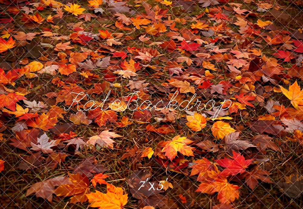 Kate Autumn Forest Red Maple Leaf Floor Backdrop Designed by Kate Image -UK