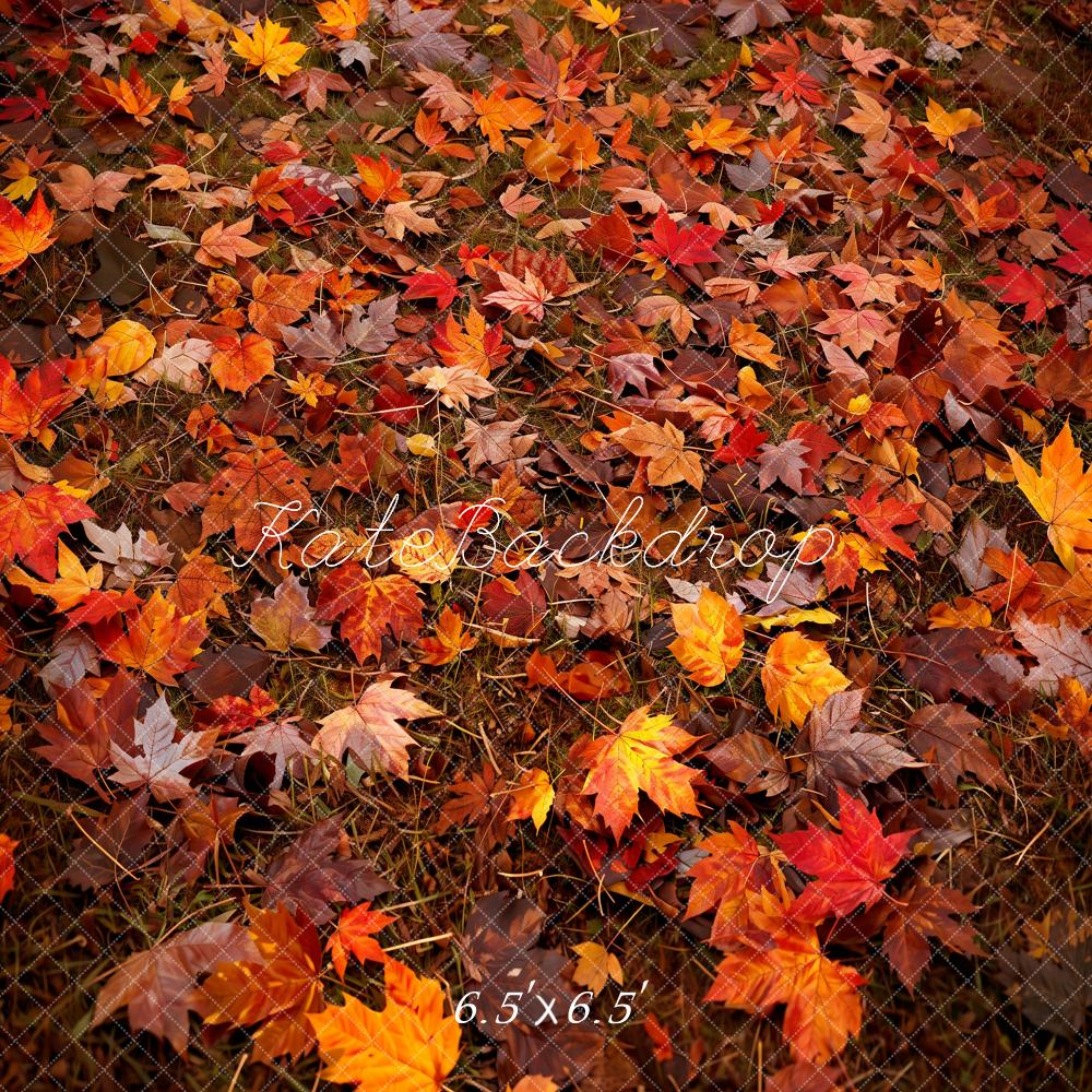 Kate Autumn Forest Red Maple Leaf Floor Backdrop Designed by Kate Image -UK