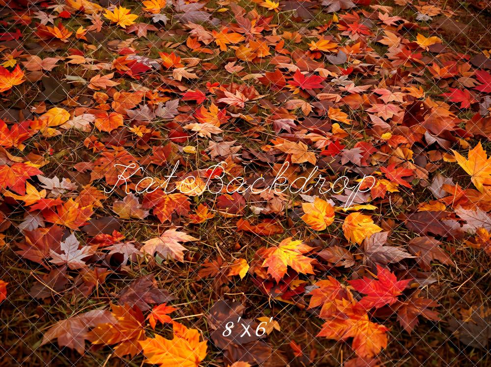 Kate Autumn Forest Red Maple Leaf Floor Backdrop Designed by Kate Image -UK