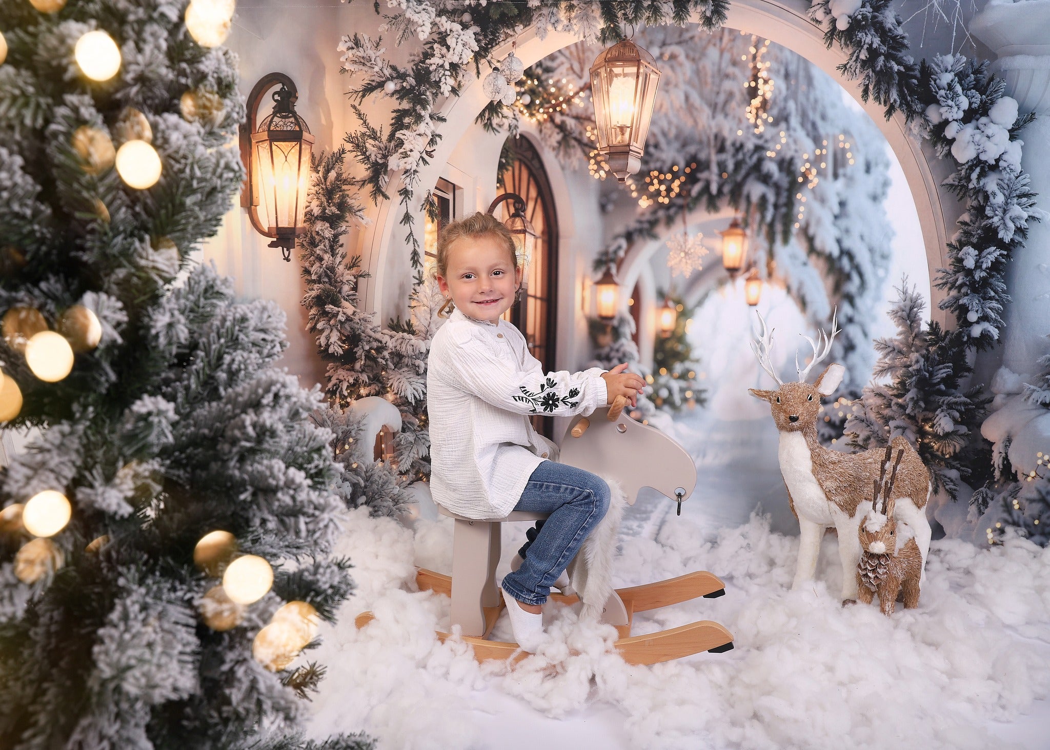 Kate Winter Snowy Christmas Arch Hallway Backdrop Designed by Emetselch -UK