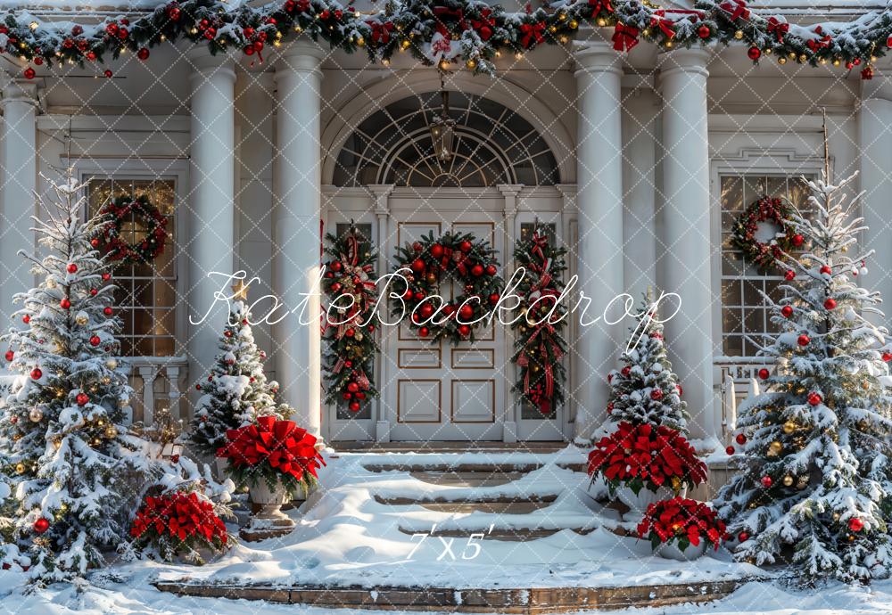 Kate Christmas Winter White Vintage House Backdrop Designed by Emetselch -UK