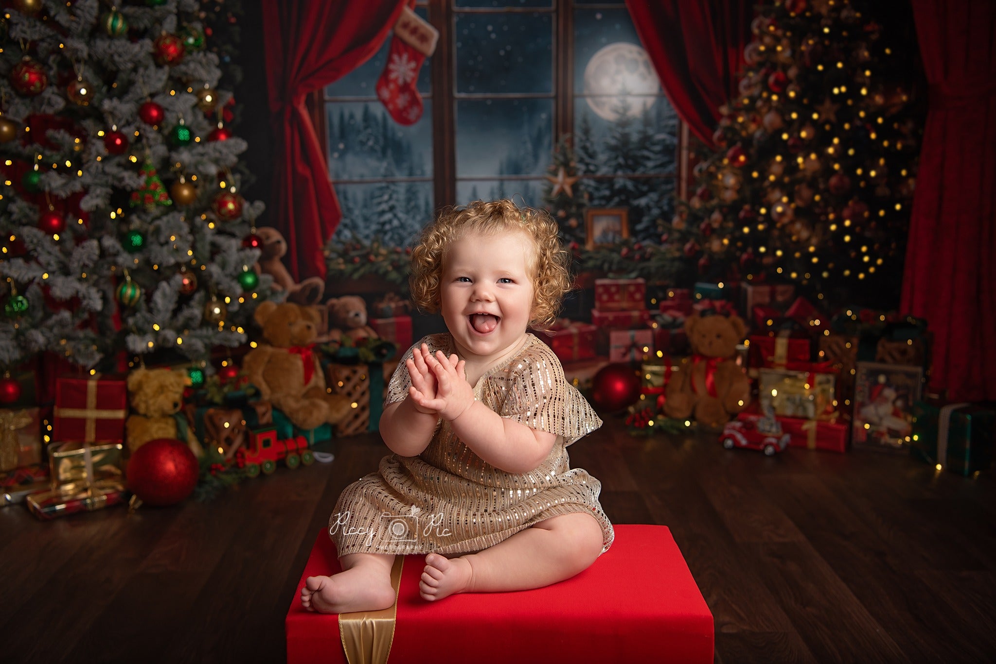 Kate Christmas Teddy Bear Red Curtain Window Backdrop Designed by Emetselch -UK