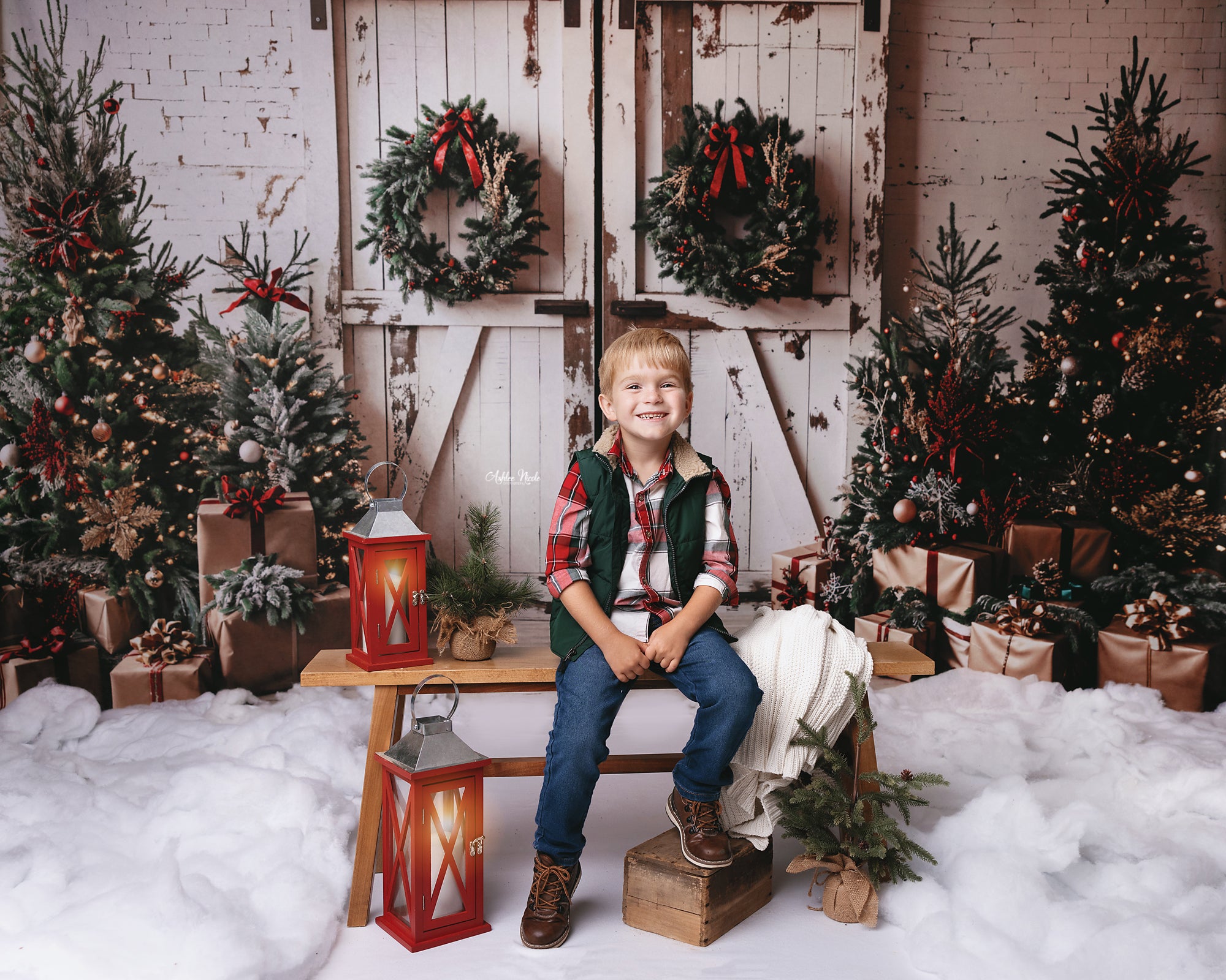 Kate Christmas White Shabby Barn Door Backdrop Designed by Emetselch -UK