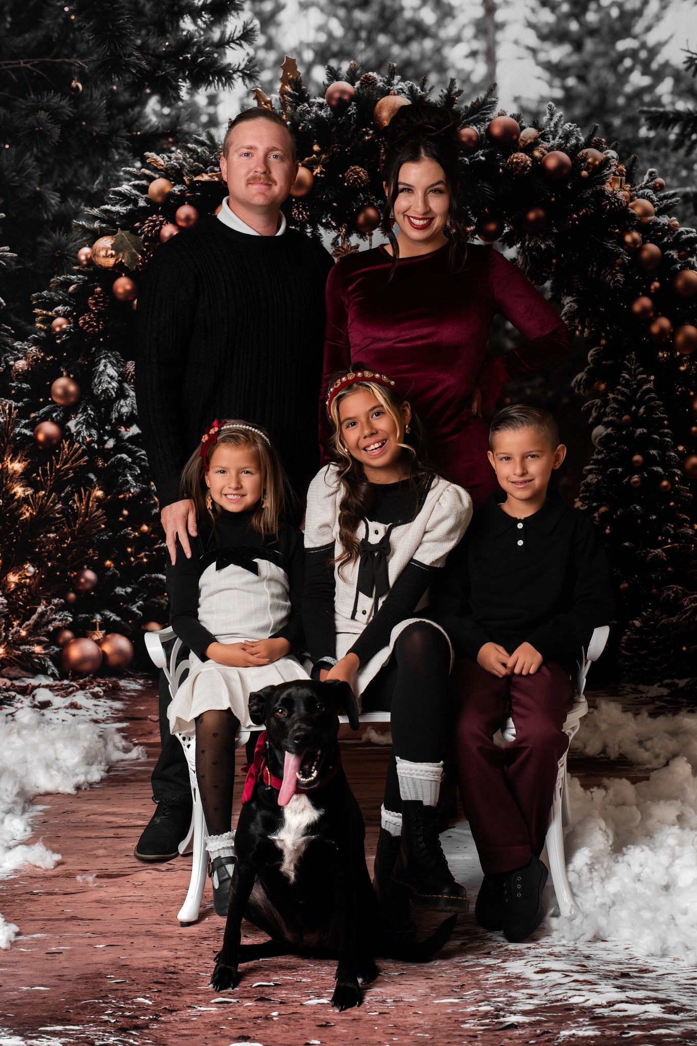 Kate Christmas Tree Archway Forest Backdrop+Winter Snowy Path Floor Backdrop