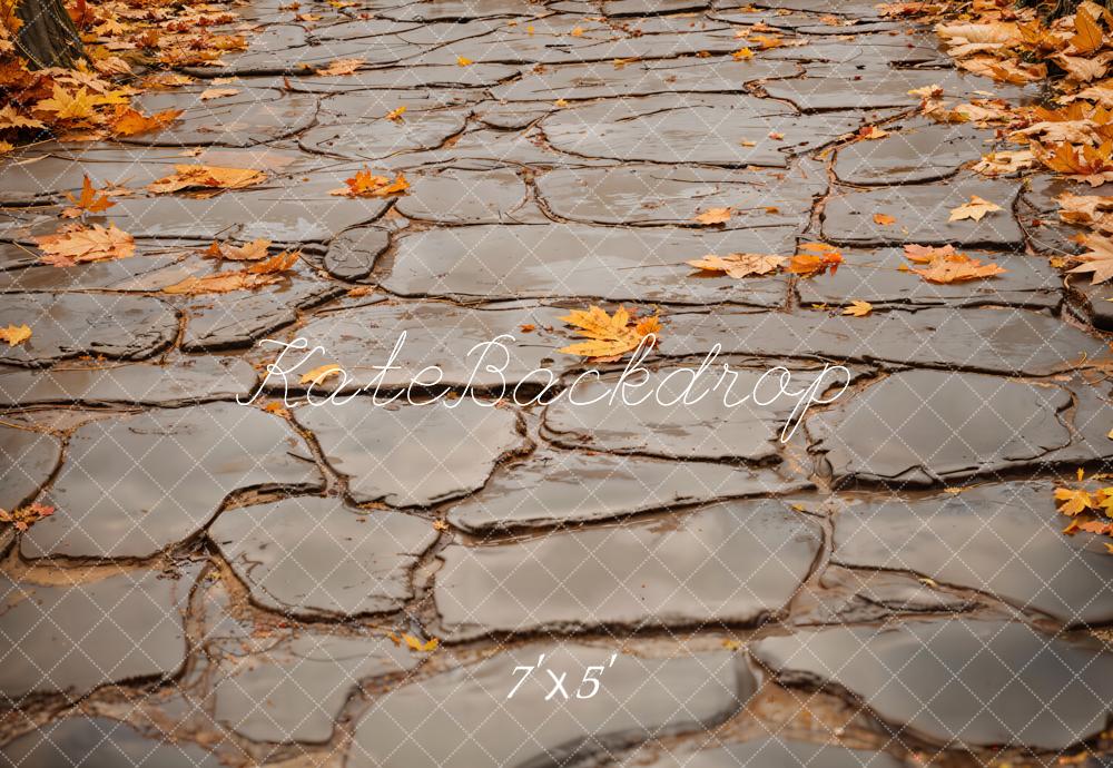 Kate Autumn Leaves Gray Cobblestone Road Floor Backdrop Designed by Emetselch -UK