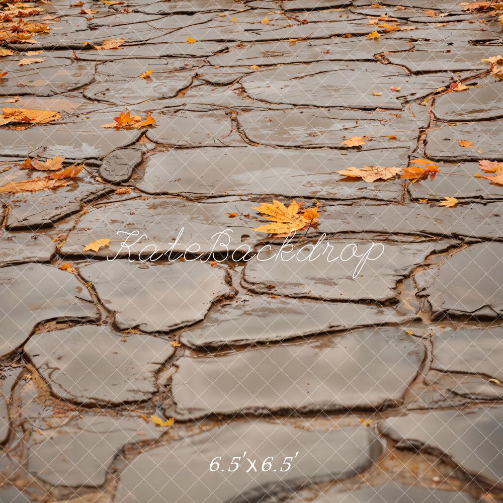 Kate Autumn Leaves Gray Cobblestone Road Floor Backdrop Designed by Emetselch -UK