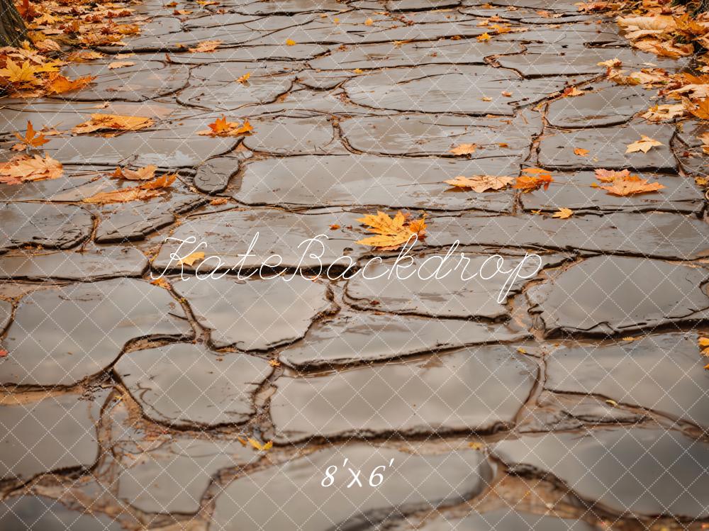 Kate Autumn Leaves Gray Cobblestone Road Floor Backdrop Designed by Emetselch -UK