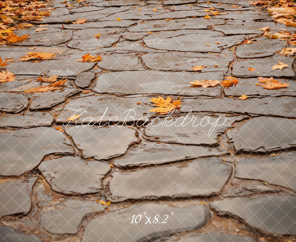 Kate Autumn Leaves Gray Cobblestone Road Floor Backdrop Designed by Emetselch -UK