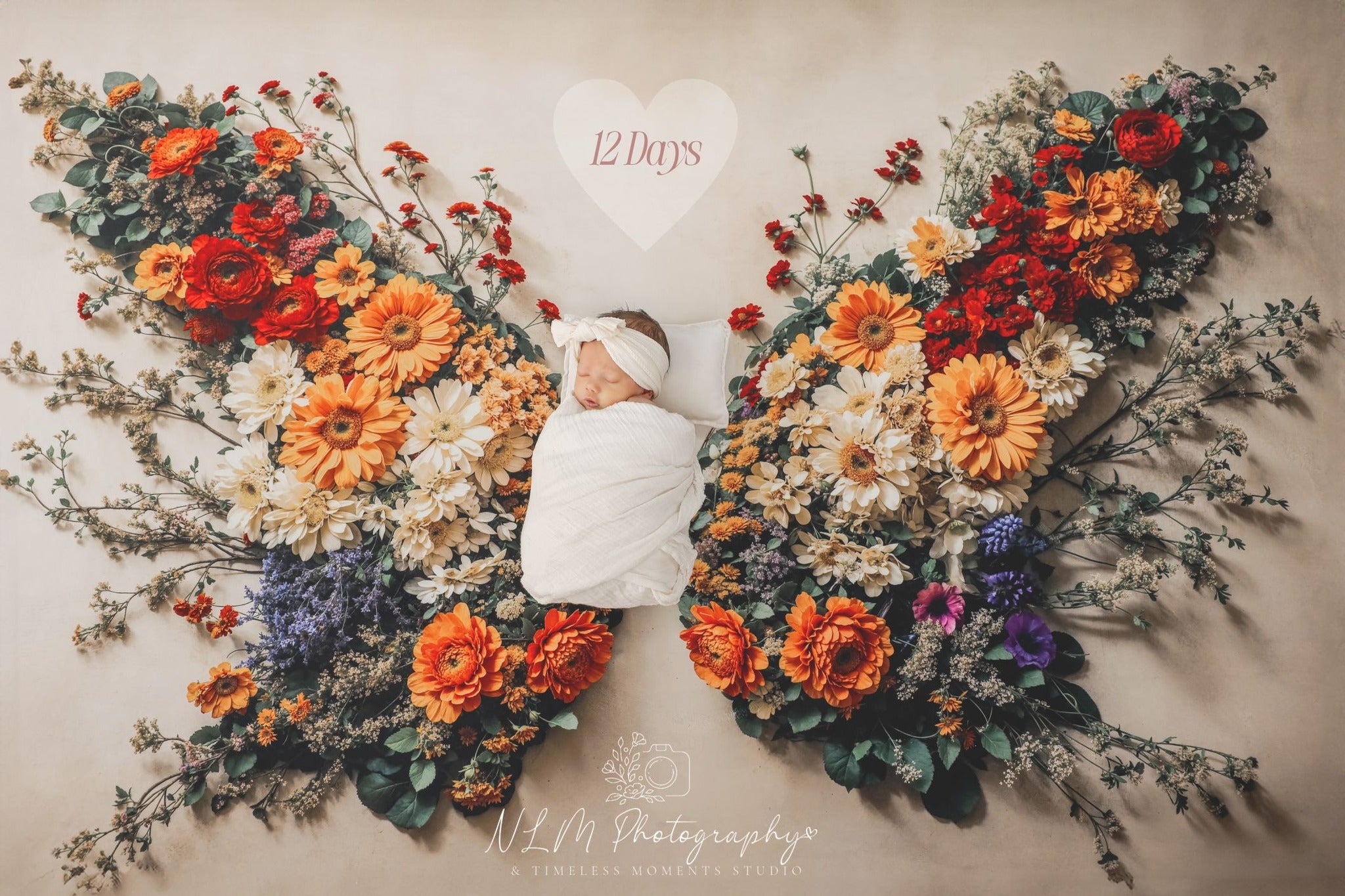 Lightning Deals Kate Newborn Flower Butterfly Floor Wall Backdrop Designed by Chain Photography -UK