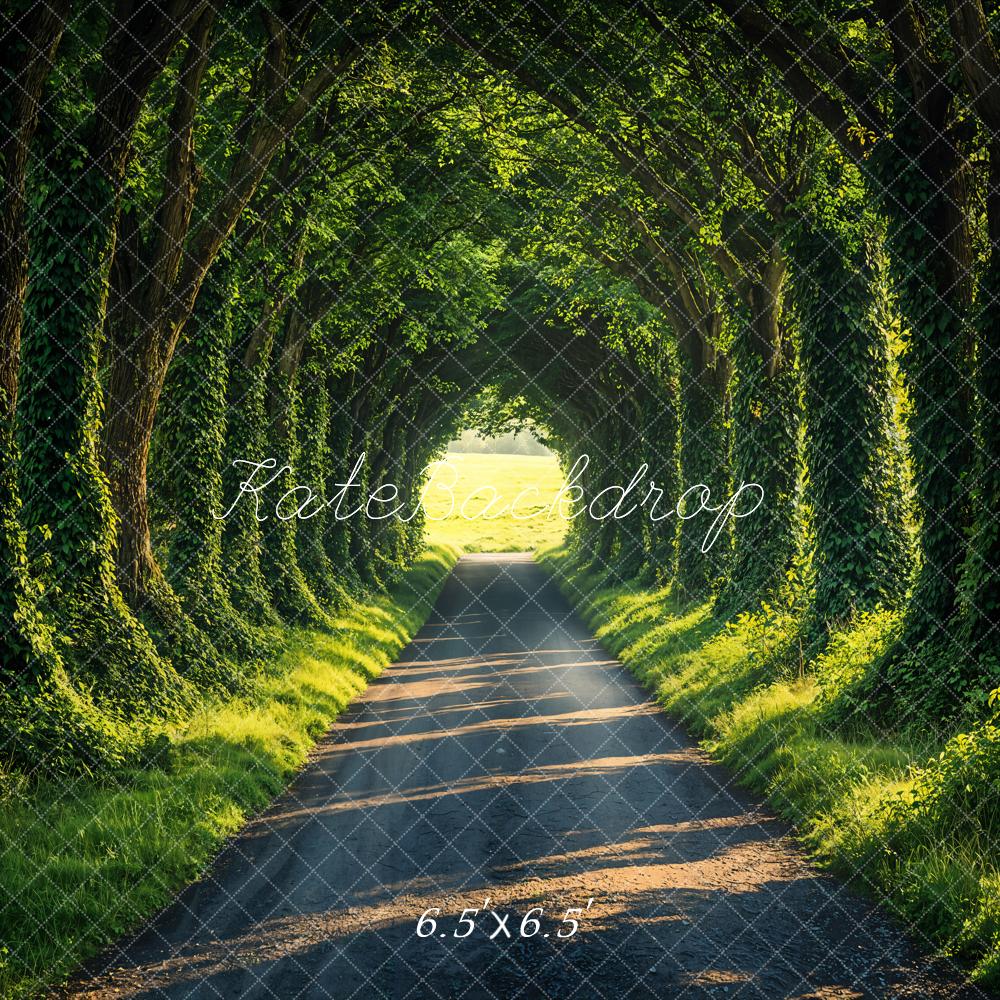 Kate Spring Forest Tunnel Sunlit Path Backdrop Designed by Emetselch