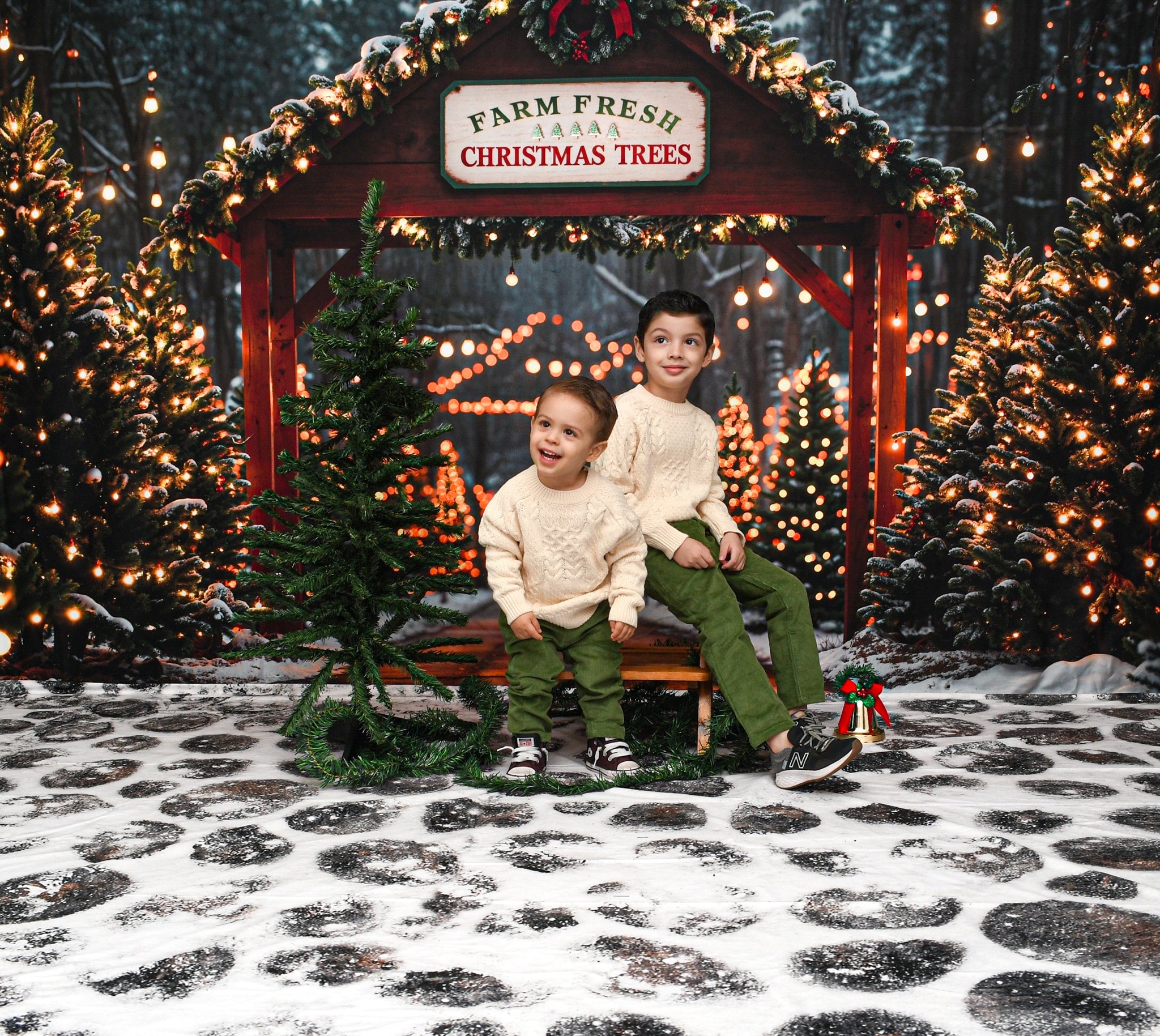 On Sale Kate Farm Fresh Christmas Trees Backdrop Designed by Emetselch