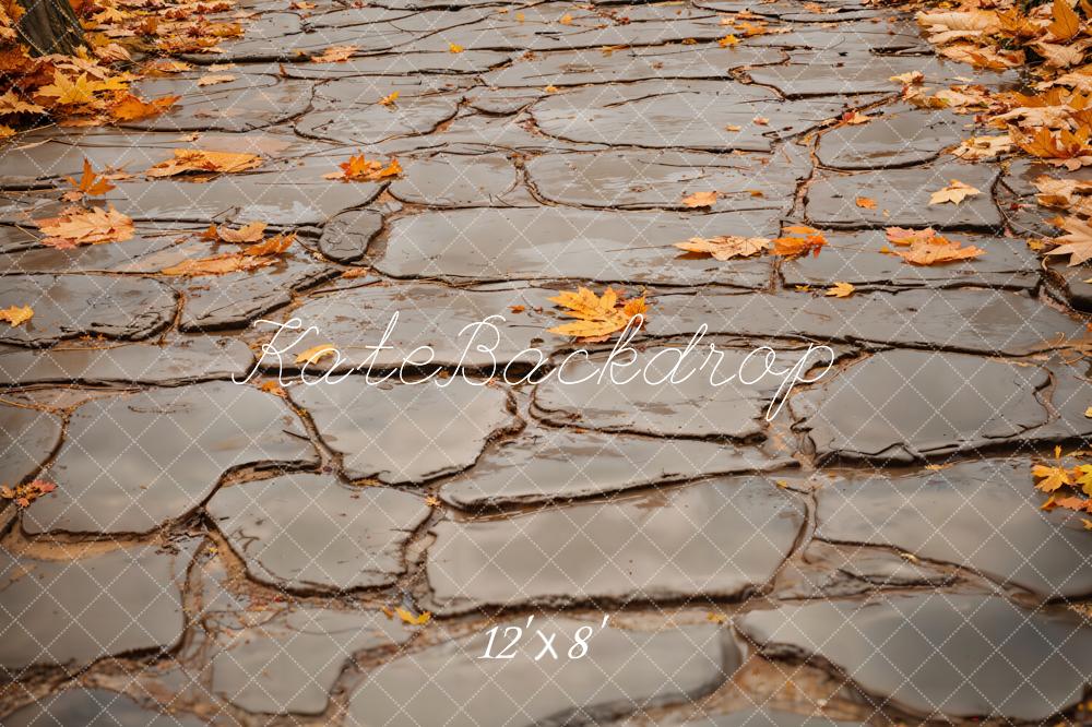 Kate Autumn Leaves Gray Cobblestone Road Floor Backdrop Designed by Emetselch -UK