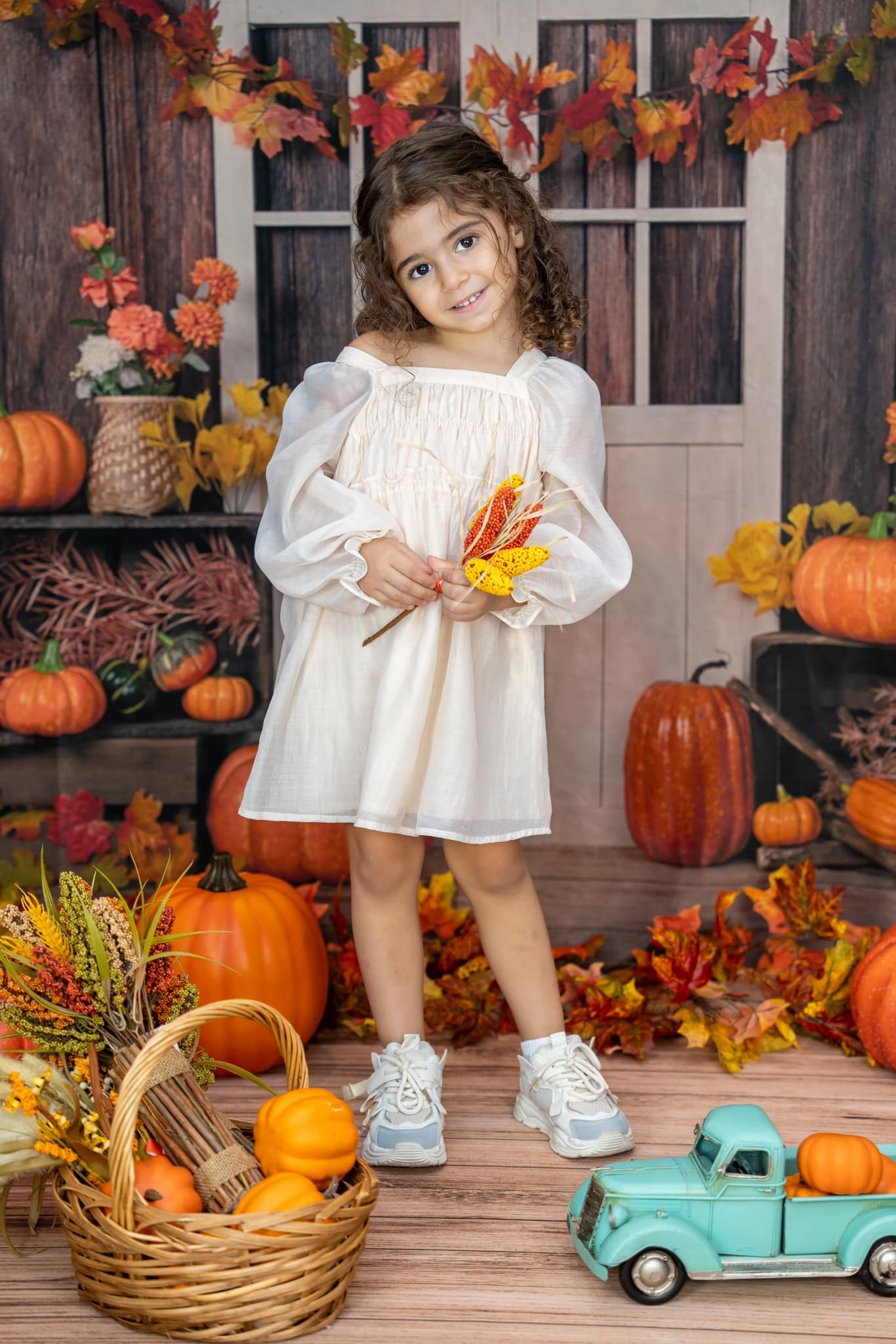 Kate Autumn/Thanksgiving Pumpkins Backdrop Designed by Jia Chan Photography -UK