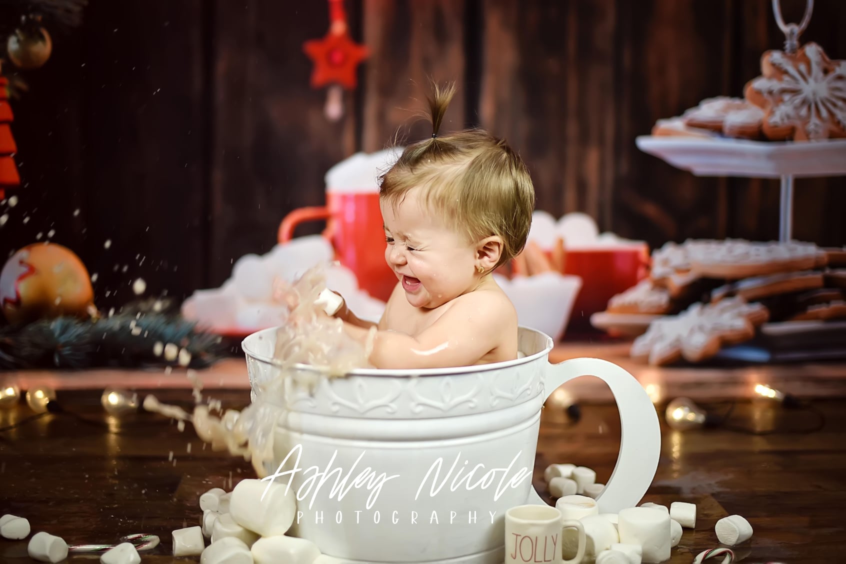 Kate Christmas Cookies Wood Hot Cocoa Backdrop for Photography -UK