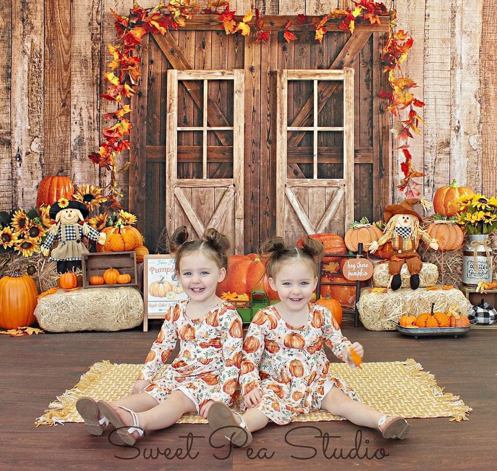 Kate Autumn Pumpkins Barn Door Backdrop Designed by Emetselch -UK