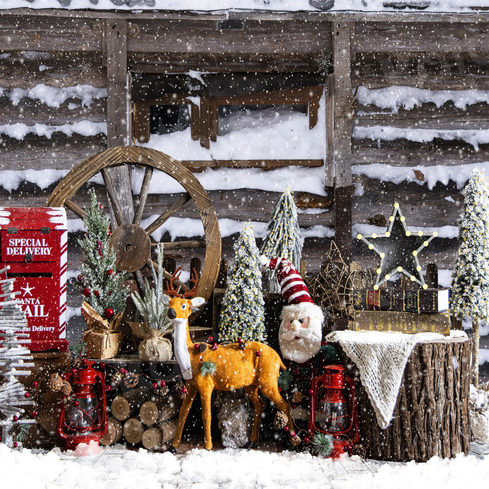 Kate Winter Snowy Christmas Backdrop for Photography -UK