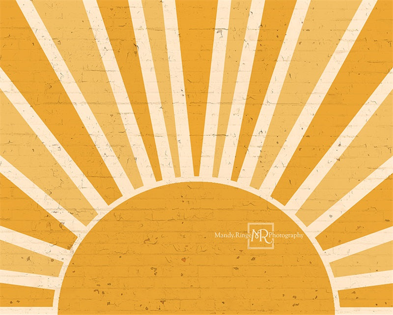 Kate You are my Sunshine Brick Wall Backdrop Designed by Mandy Ringe Photography -UK