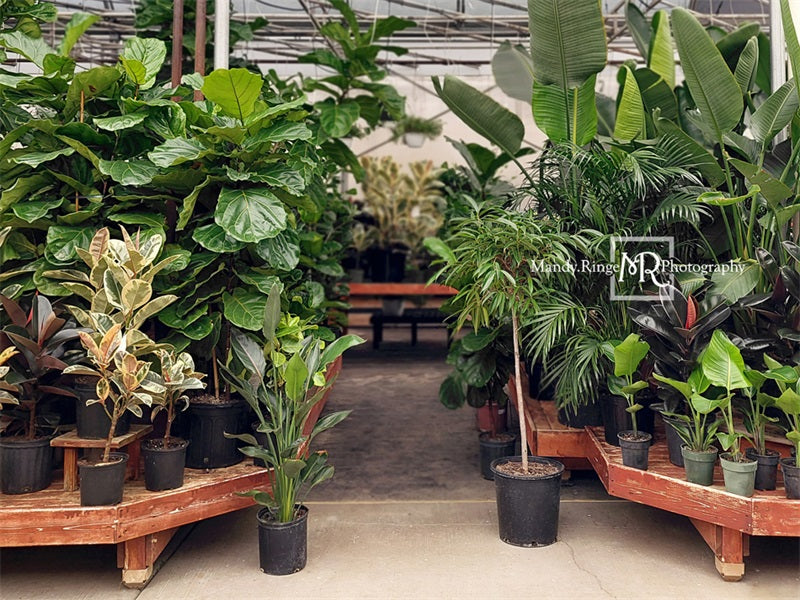 Kate Spring Tropical Greenhouse Interior Backdrop Designed by Mandy Ringe Photography -UK