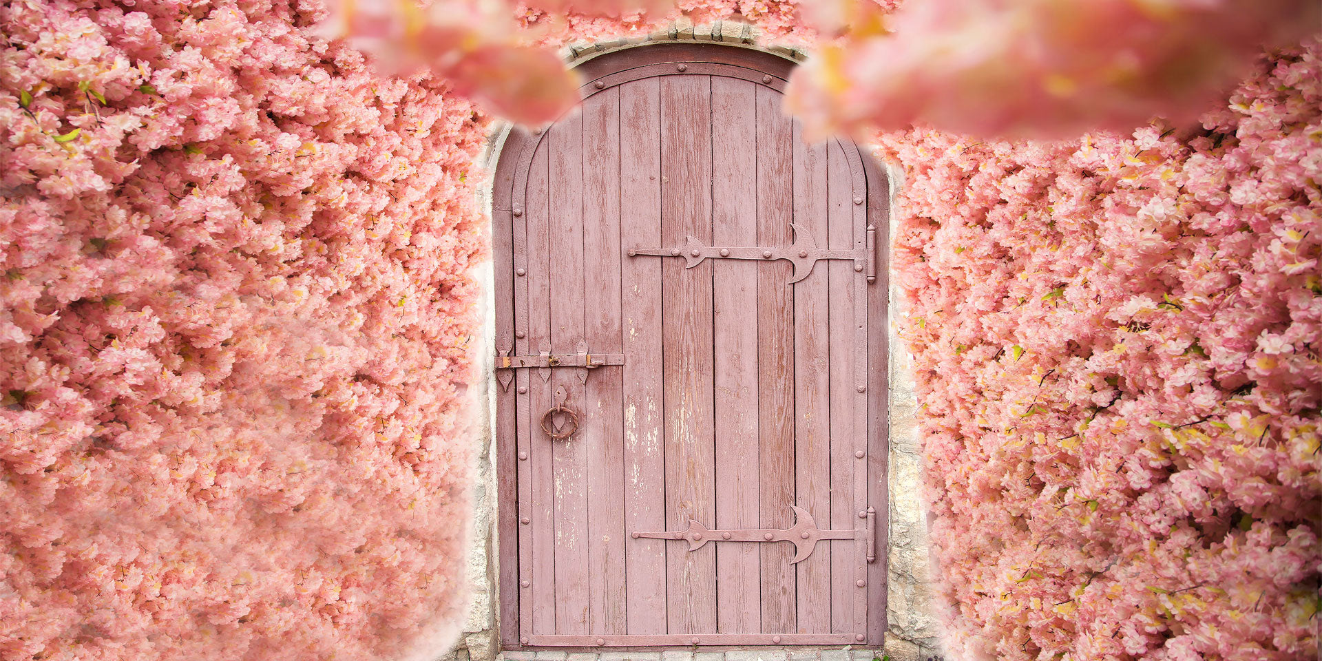 Kate Valentine's Day Pink Florals Front Door Backdrop for Photography -UK