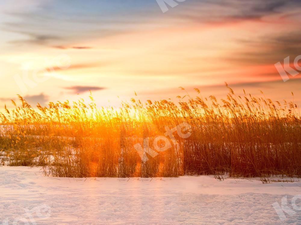 Kate Waterside Reed Sunset Backdrop for Photography -UK