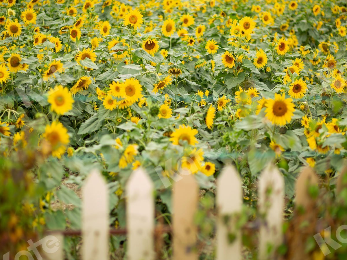 Kate Sunflower Garden Backdrop Designed by Jia Chan Photography -UK