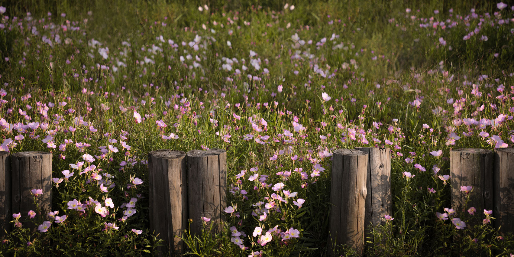 Kate Spring Flowers Lawn Backdrop Designed by Jia Chan Photography -UK