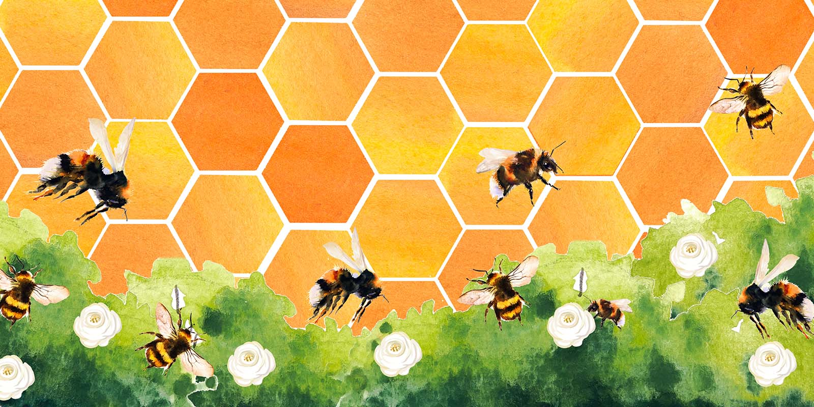 Kate Honeycomb Bee Backdrop Designed by GQ -UK