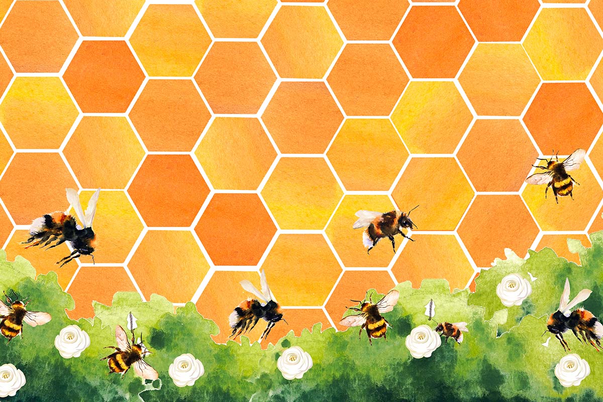 Kate Honeycomb Bee Backdrop Designed by GQ -UK