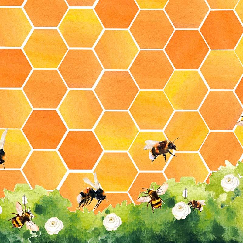 Kate Honeycomb Bee Backdrop Designed by GQ -UK