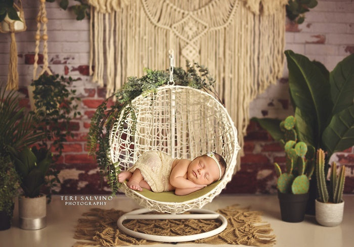 Kate Boho Macrame Wall with Plants Backdrop Designed By Mandy Ringe Photography -UK