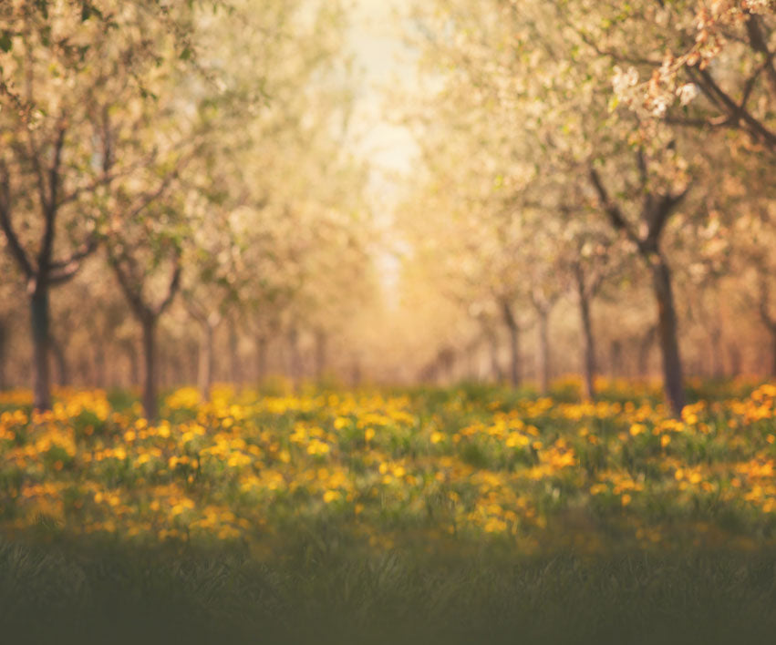 Kate Springtime Orchard in Yellow Backdrop for Photography Designed by Lisa Granden -UK