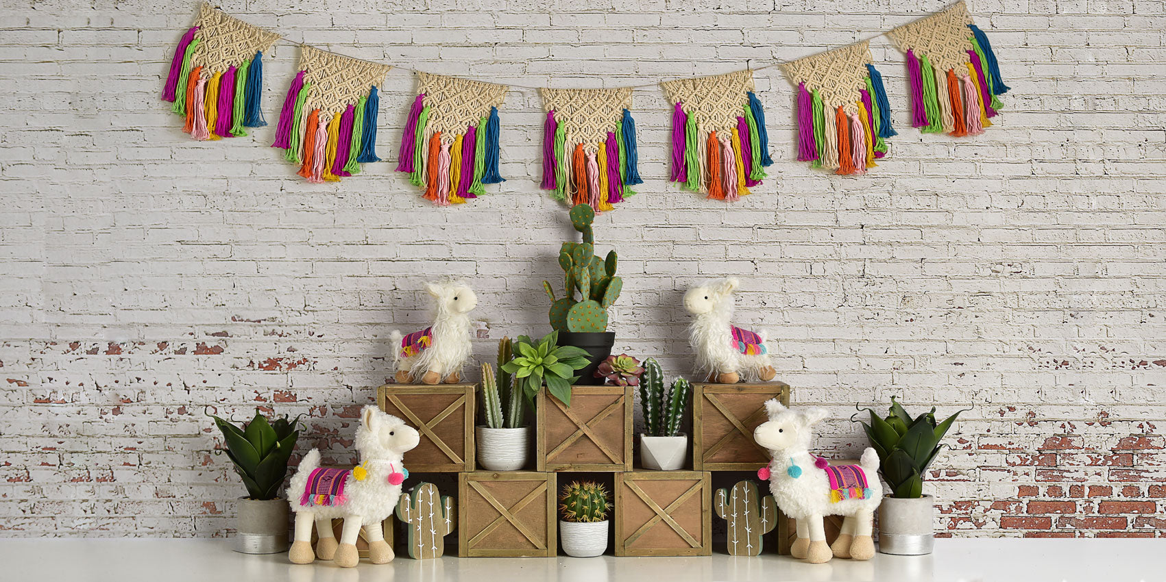 Kate Spring Llamas with Cactus and Macrame Backdrop Designed By Mandy Ringe Photography -UK