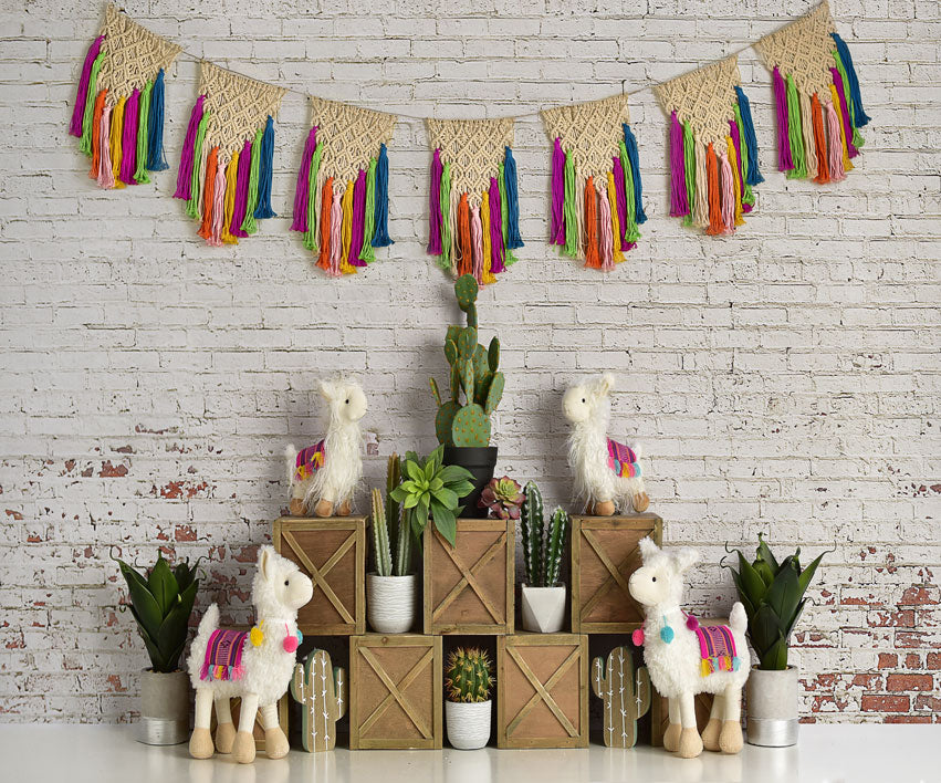 Kate Spring Llamas with Cactus and Macrame Backdrop Designed By Mandy Ringe Photography -UK